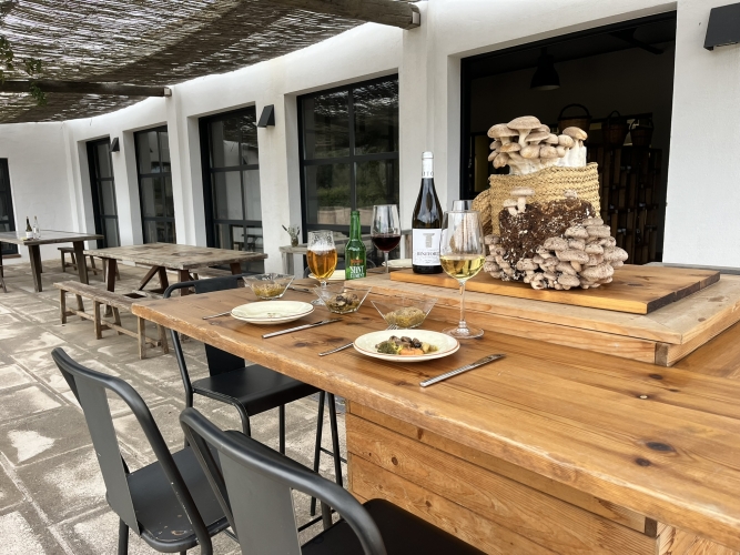 TALLER CON VISITA Y DEGUSTACIÓN EN BOLETS DE MENORCA